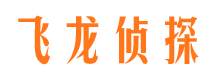 嘉黎侦探公司